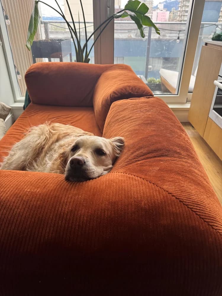 Диван Teddy в интерьере покупателя, фото 67